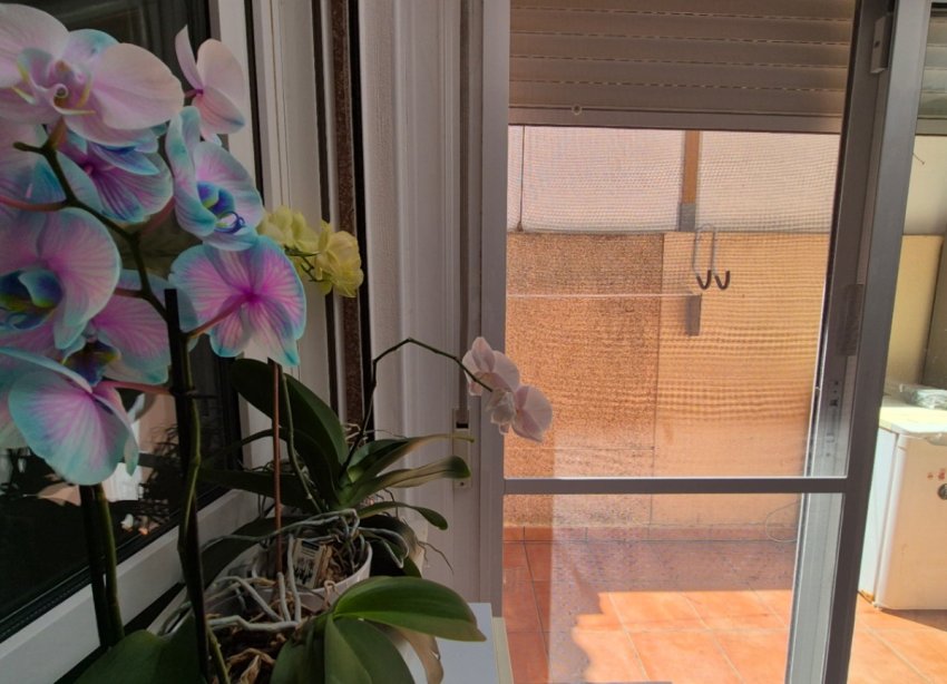 Rynek Wtórny - Dom szeregowy - Torrevieja - Costa Blanca