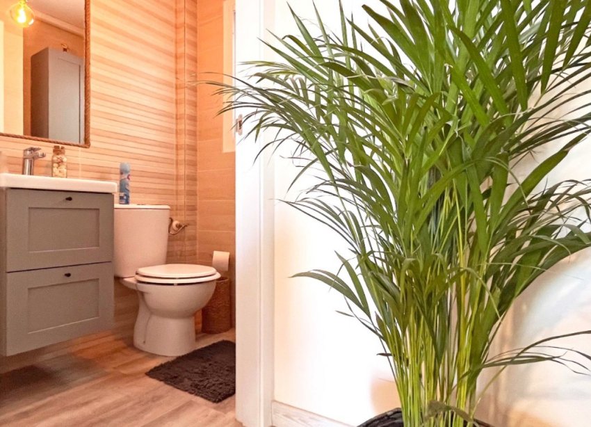 Rynek Wtórny - Dom szeregowy - Torrevieja - Los Balcones - Los Altos del Edén