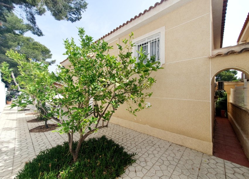 Rynek Wtórny - Dom szeregowy - Torrevieja