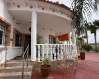 Rynek Wtórny - Dom wiejski / Finca - Catral - Comunidad valenciana
