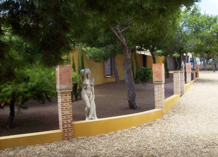 Rynek Wtórny - Dom wiejski / Finca - Ciudad Quesada - Lo Pepin