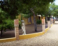 Rynek Wtórny - Dom wiejski / Finca - Ciudad Quesada - Lo Pepin