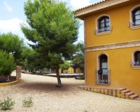Rynek Wtórny - Dom wiejski / Finca - Ciudad Quesada - Lo Pepin