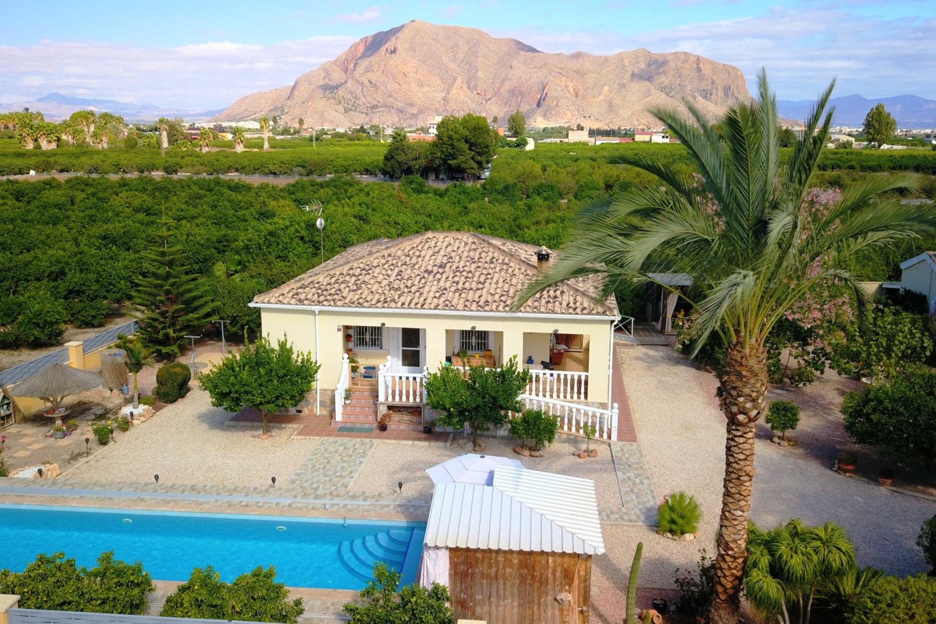 Rynek Wtórny - Dom wiejski / Finca - Orihuela - La Campaneta