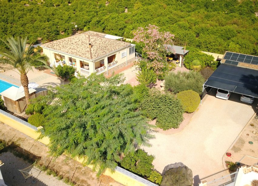Rynek Wtórny - Dom wiejski / Finca - Orihuela - La Campaneta