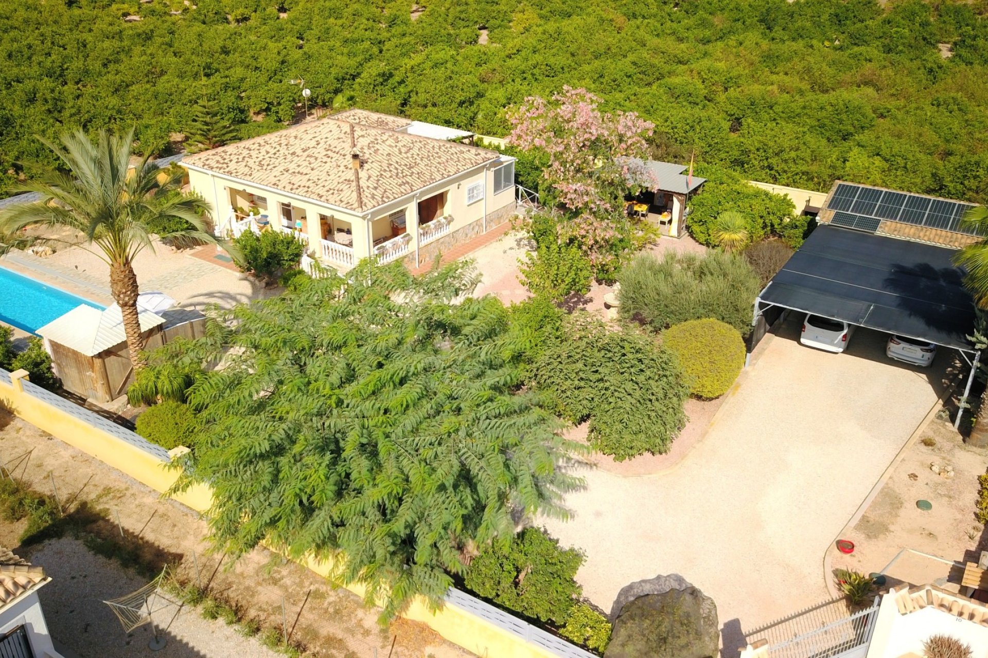 Rynek Wtórny - Dom wiejski / Finca - Orihuela - La Campaneta