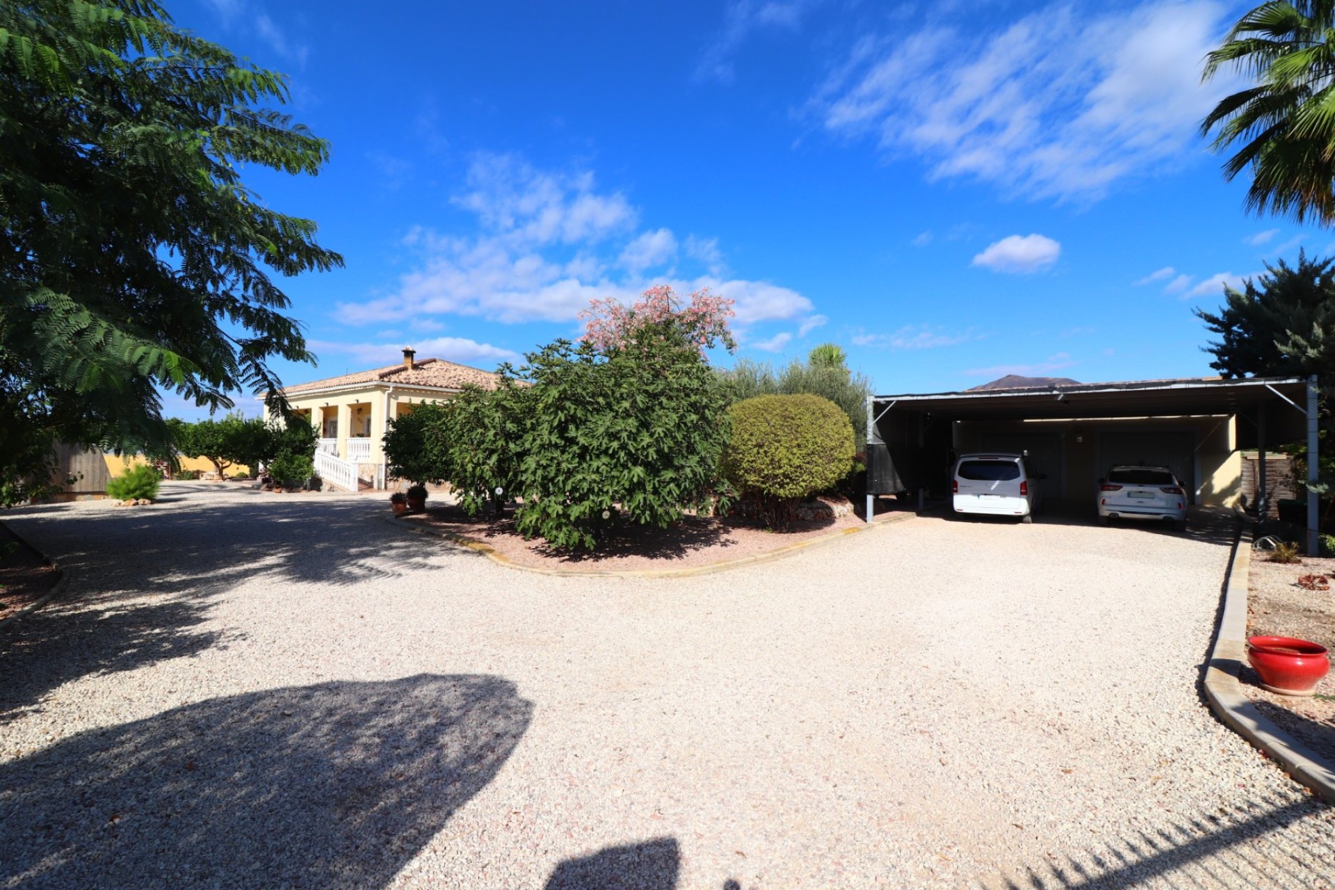 Rynek Wtórny - Dom wiejski / Finca - Orihuela - La Campaneta