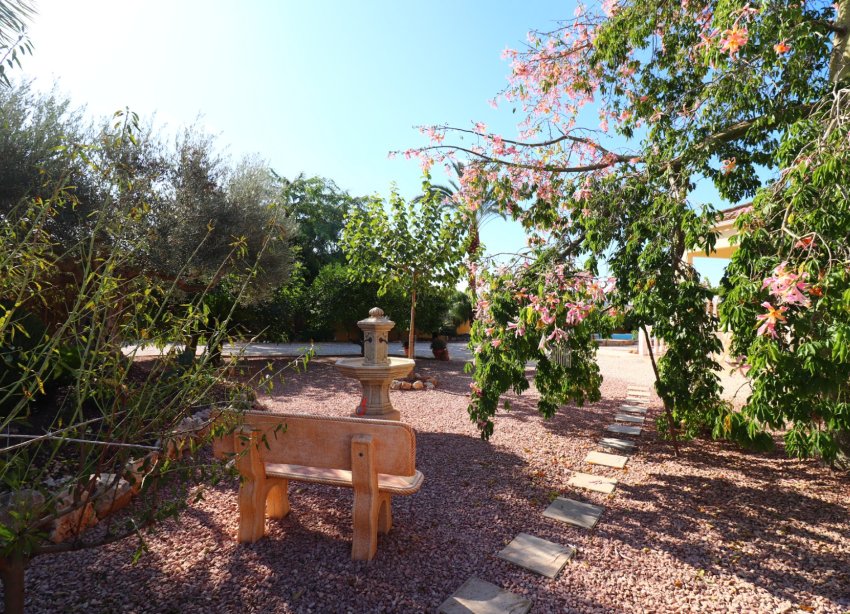Rynek Wtórny - Dom wiejski / Finca - Orihuela - La Campaneta