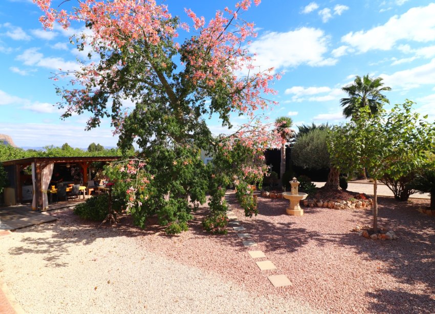 Rynek Wtórny - Dom wiejski / Finca - Orihuela - La Campaneta