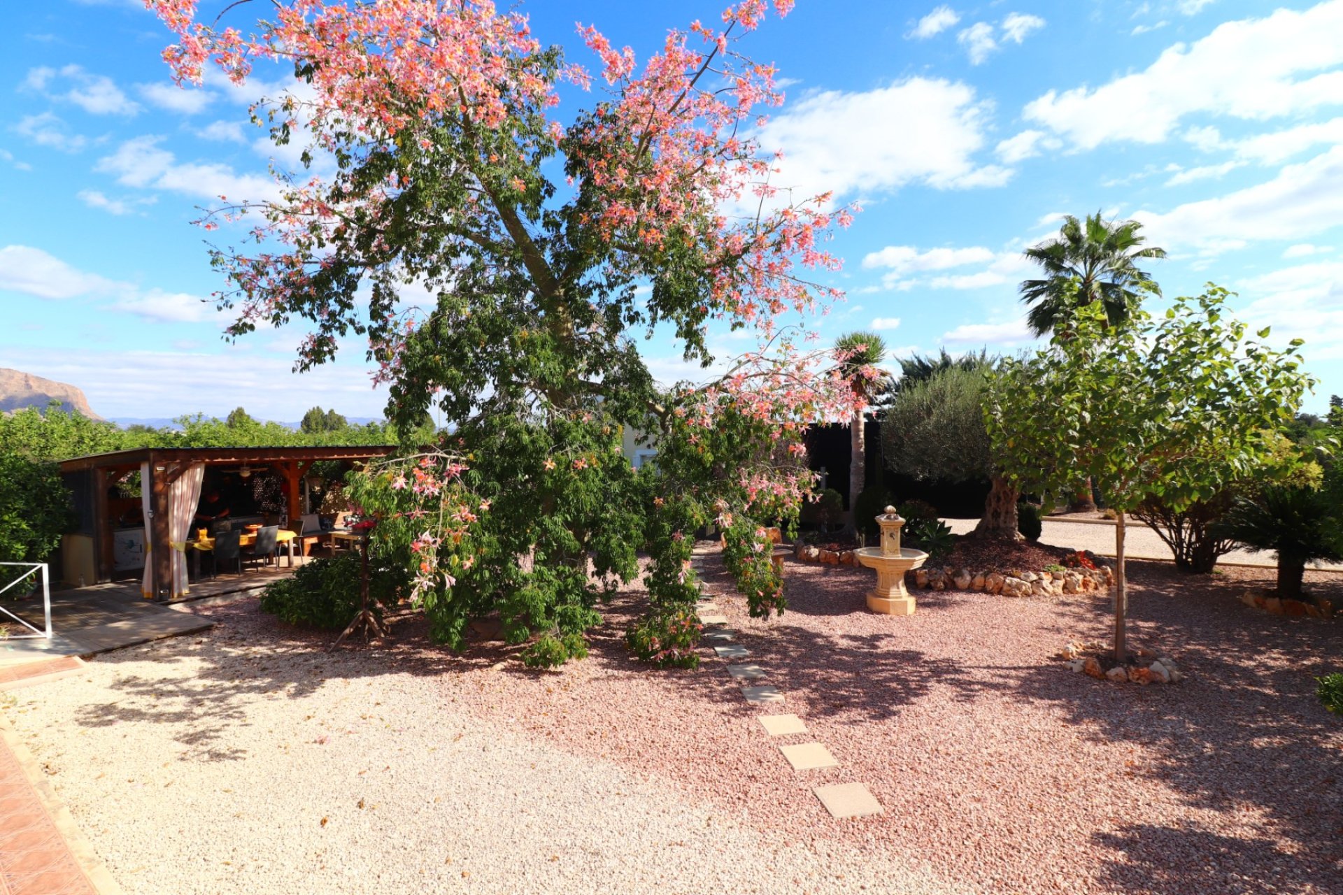 Rynek Wtórny - Dom wiejski / Finca - Orihuela - La Campaneta
