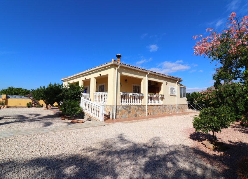 Rynek Wtórny - Dom wiejski / Finca - Orihuela - La Campaneta