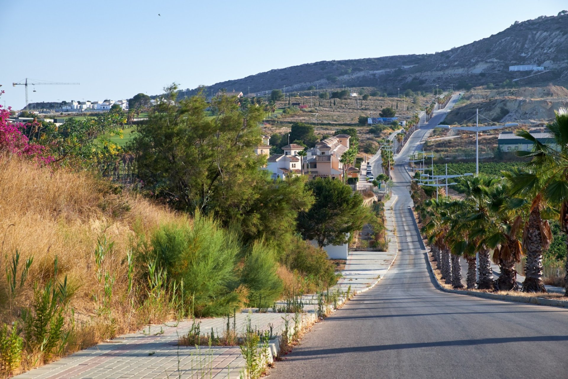 Rynek Wtórny - Land - Algorfa (montemar) - Algorfa