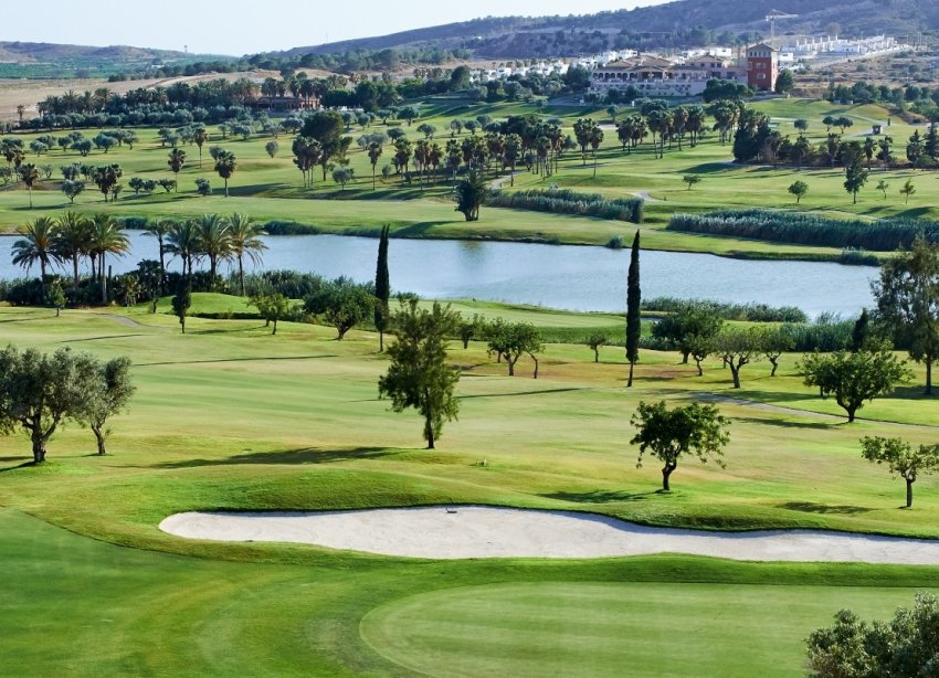 Rynek Wtórny - Land - Algorfa (montemar) - Algorfa