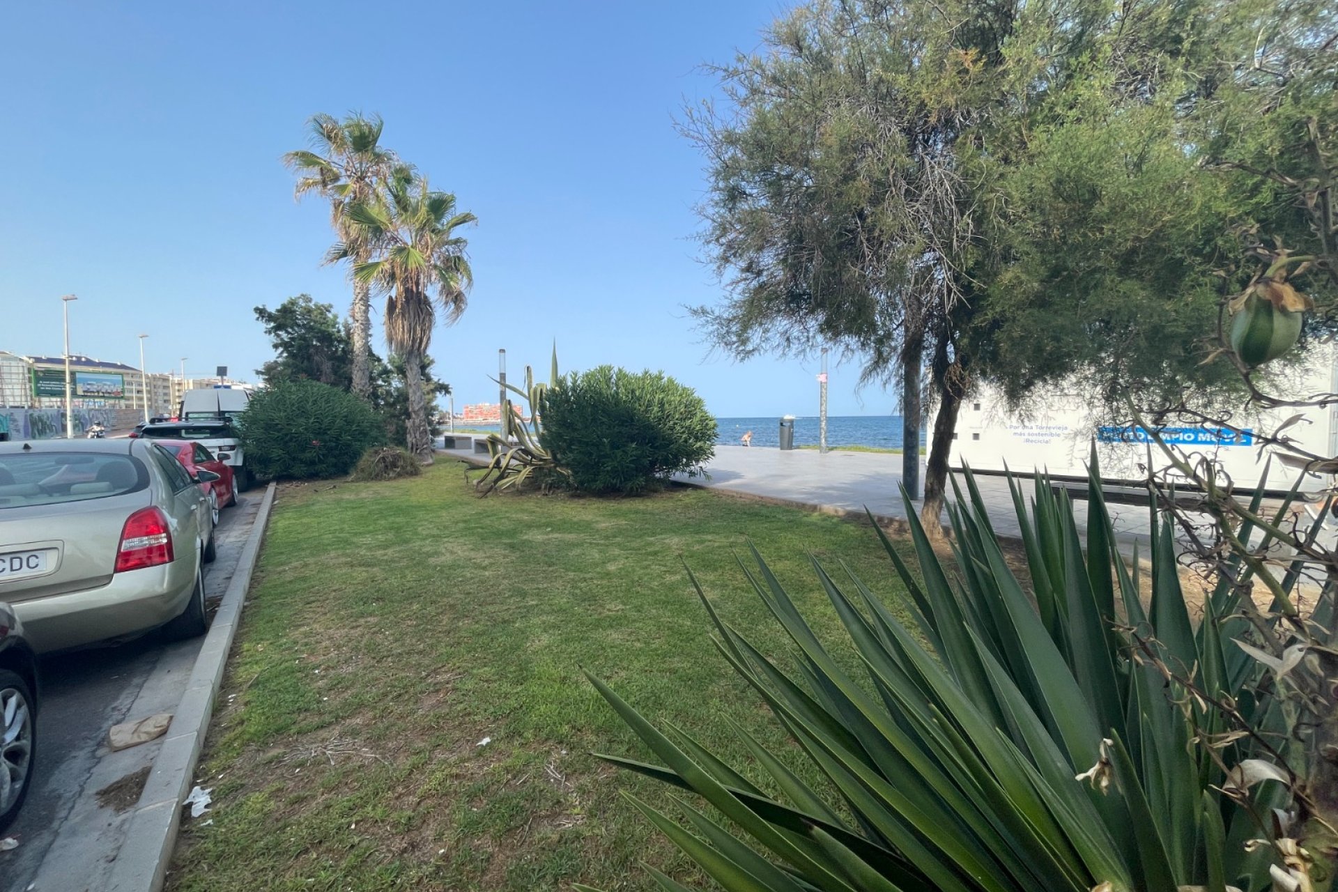 Rynek Wtórny - Lokal Usługowy - Torrevieja - Comunidad valenciana