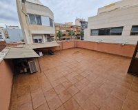Rynek Wtórny - Lokal Usługowy - Torrevieja - Estacion de autobuses