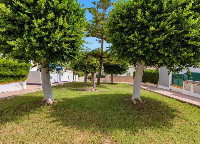 Rynek Wtórny - Terraced house - Torrevieja - Los altos