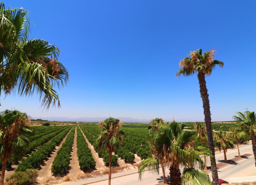 Rynek Wtórny - Willa - Algorfa - La Finca Golf Resort