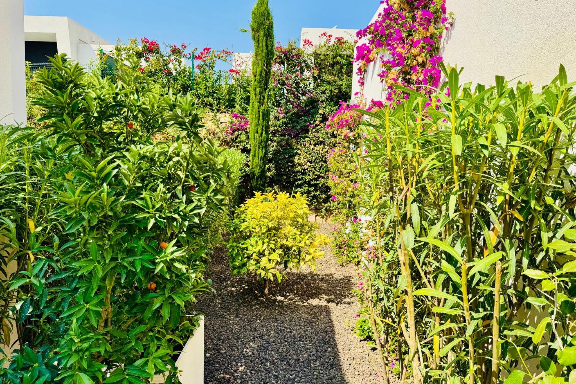 Rynek Wtórny - Willa - Algorfa - La Finca Golf