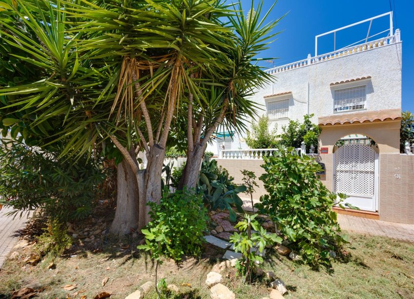 Rynek Wtórny - Willa / Dom - Torrevieja - Calas blanca