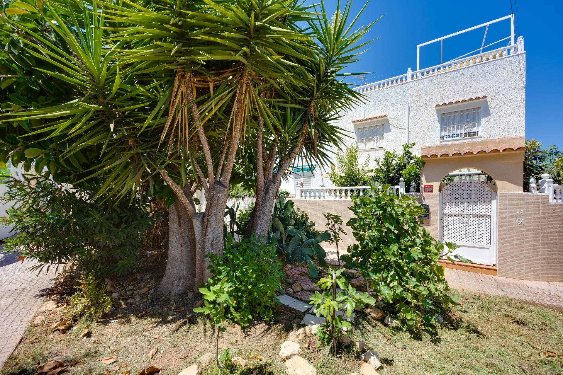 Rynek Wtórny - Willa / Dom - Torrevieja - Calas blanca
