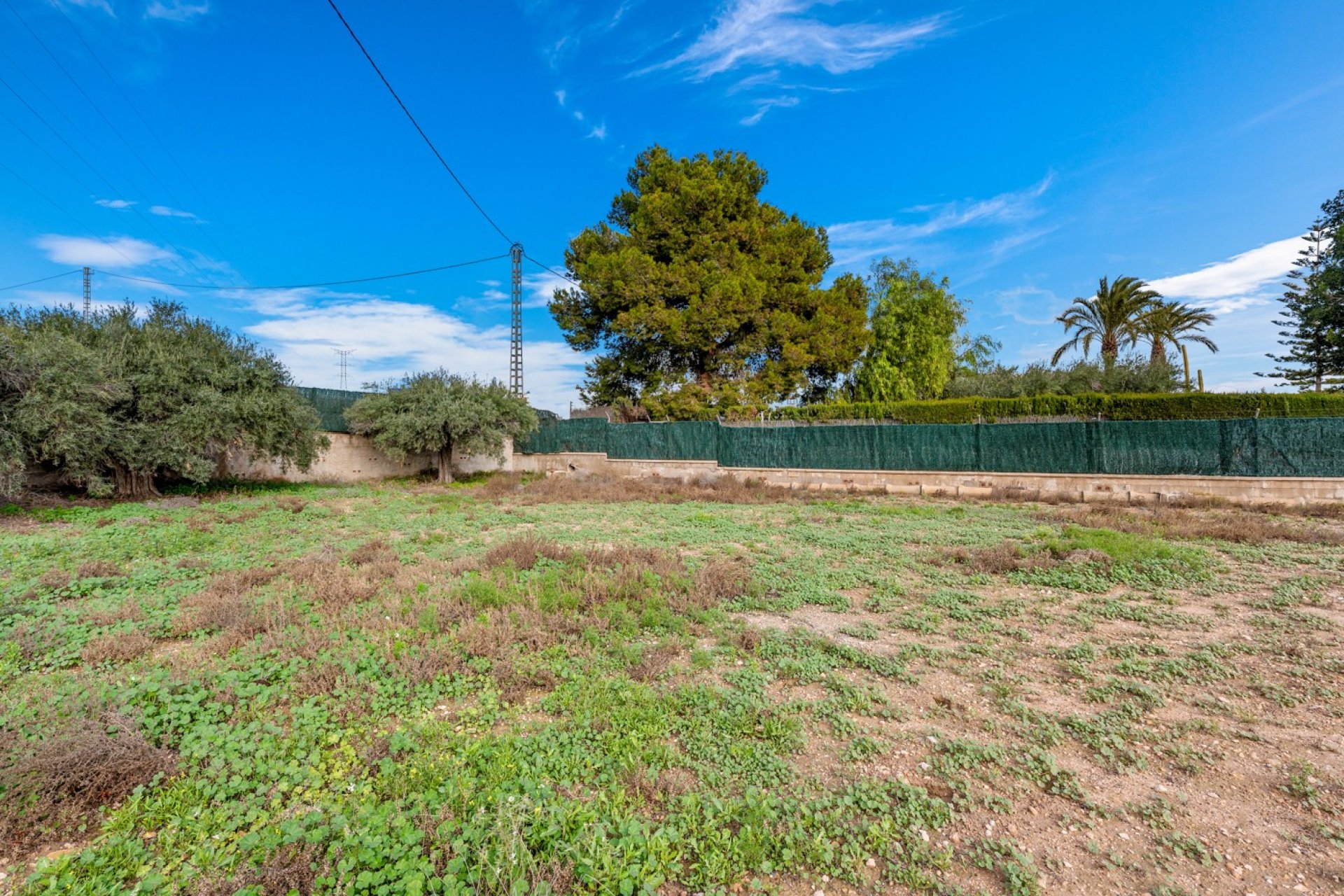 Rynek Wtórny - Willa - Elche - Elche/Elx