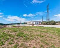 Rynek Wtórny - Willa - Elche - Elche/Elx