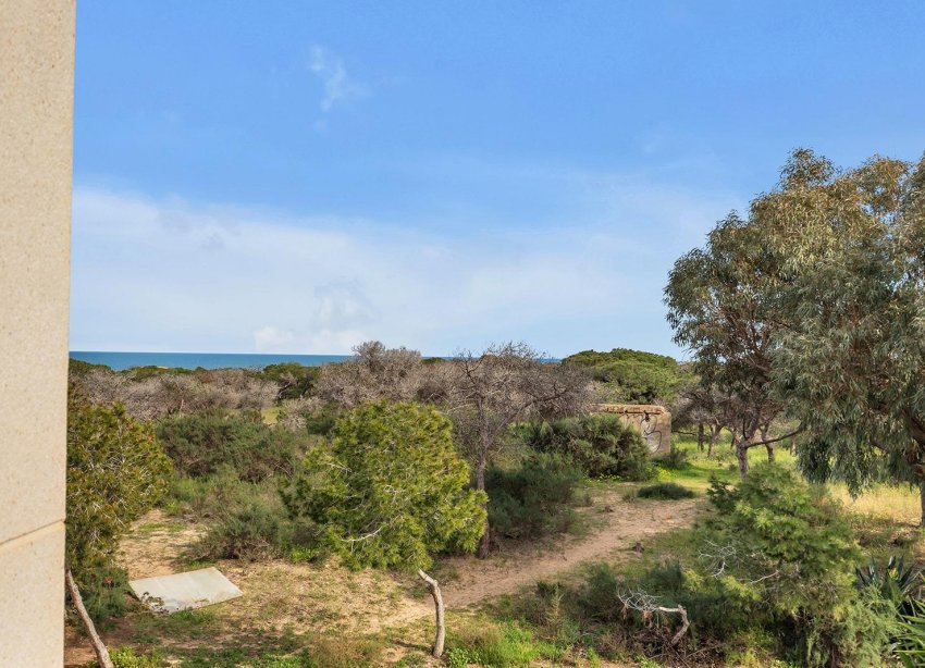 Rynek Wtórny - Willa - Guardamar del Segura - Urbanizaciones