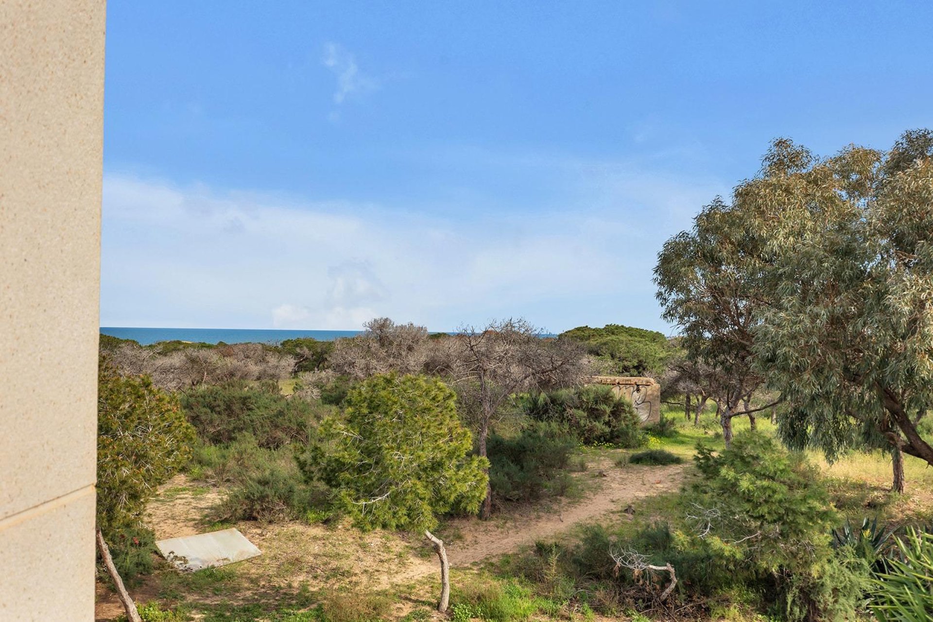 Rynek Wtórny - Willa - Guardamar del Segura - Urbanizaciones