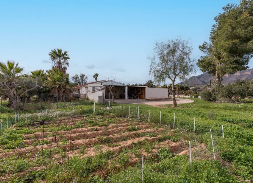 Rynek Wtórny - Willa - Hondón de las Nieves