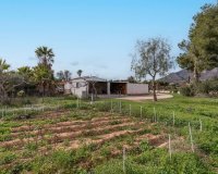 Rynek Wtórny - Willa - Hondón de las Nieves