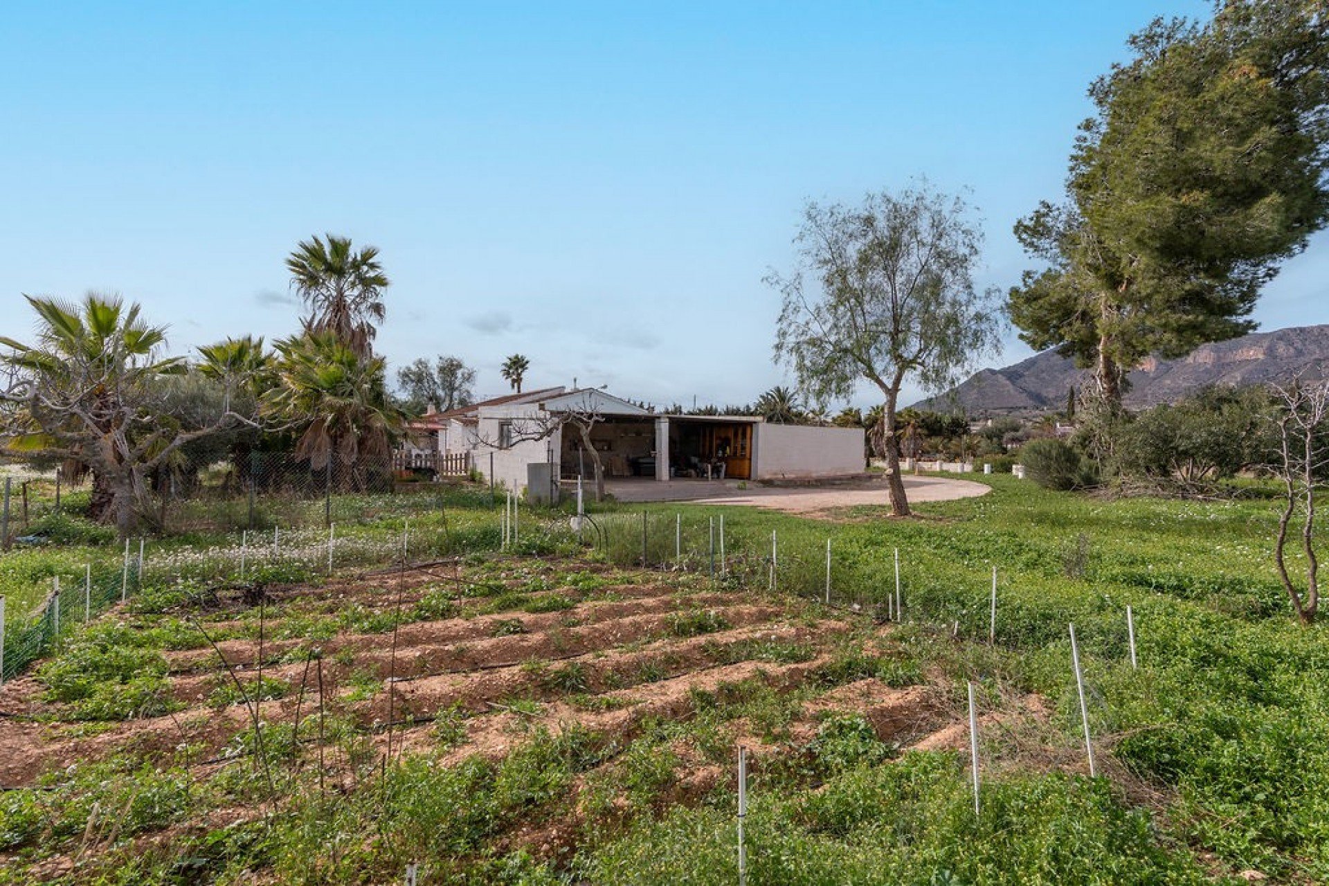 Rynek Wtórny - Willa - Hondón de las Nieves
