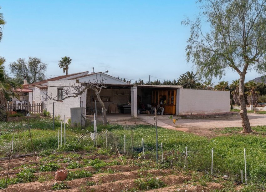 Rynek Wtórny - Willa - Hondón de las Nieves