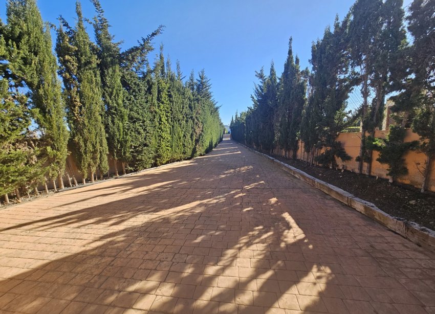 Rynek Wtórny - Willa - La Manga del Mar Menor - La Manga Club