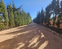 Rynek Wtórny - Willa - La Manga del Mar Menor - La Manga Club