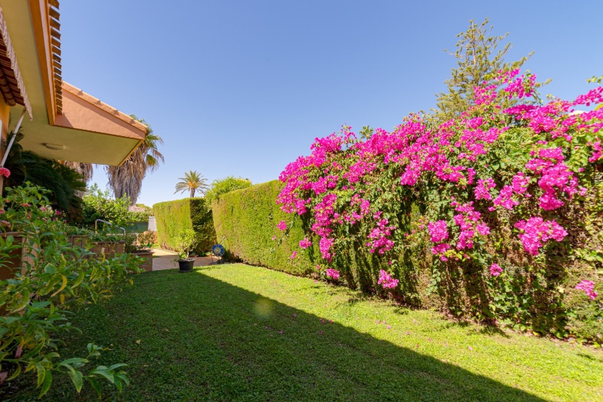 Rynek Wtórny - Willa - Orihuela Costa - Campoamor
