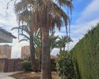 Rynek Wtórny - Willa - Orihuela Costa - Campoamor