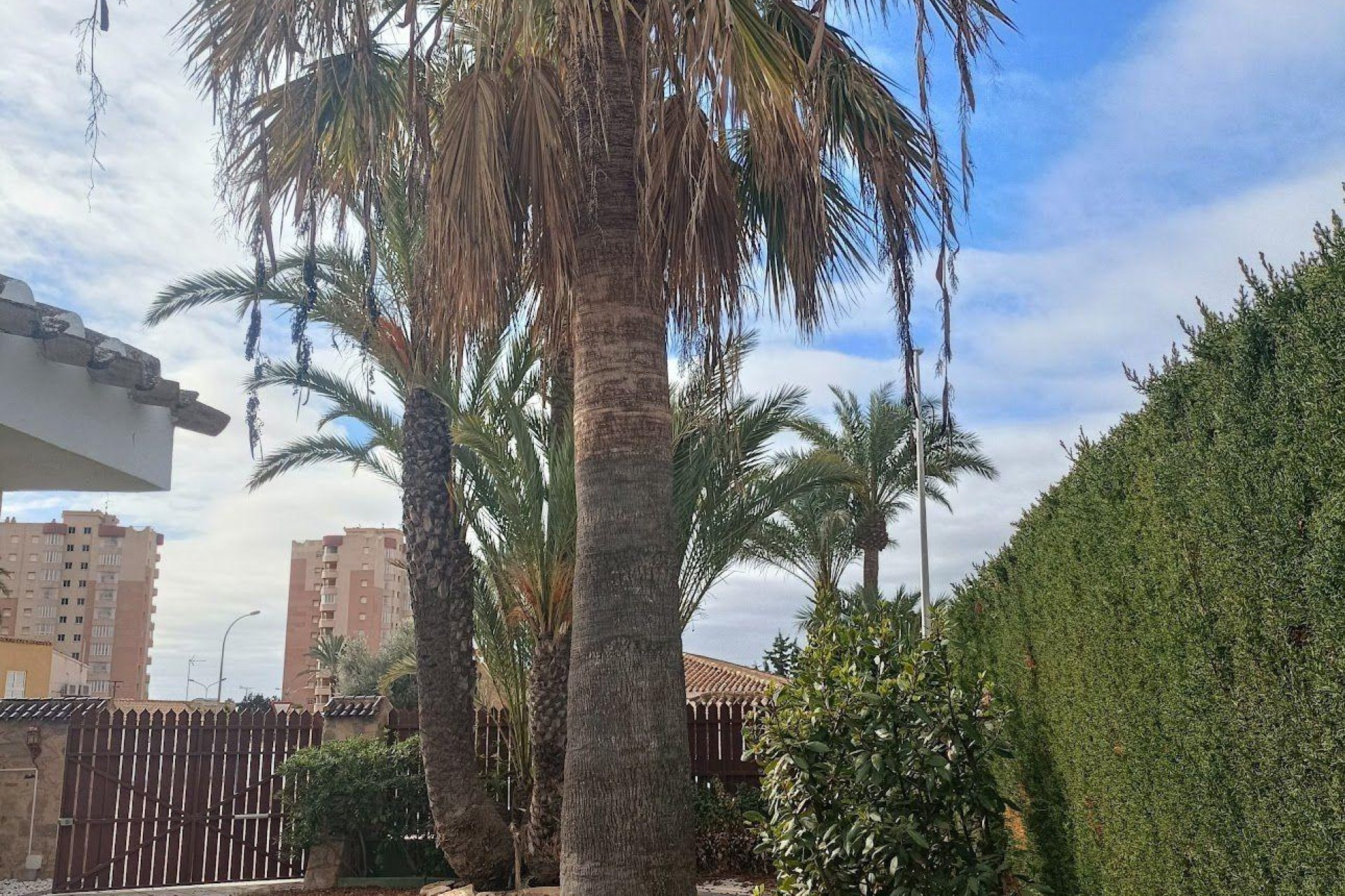 Rynek Wtórny - Willa - Orihuela Costa - Campoamor