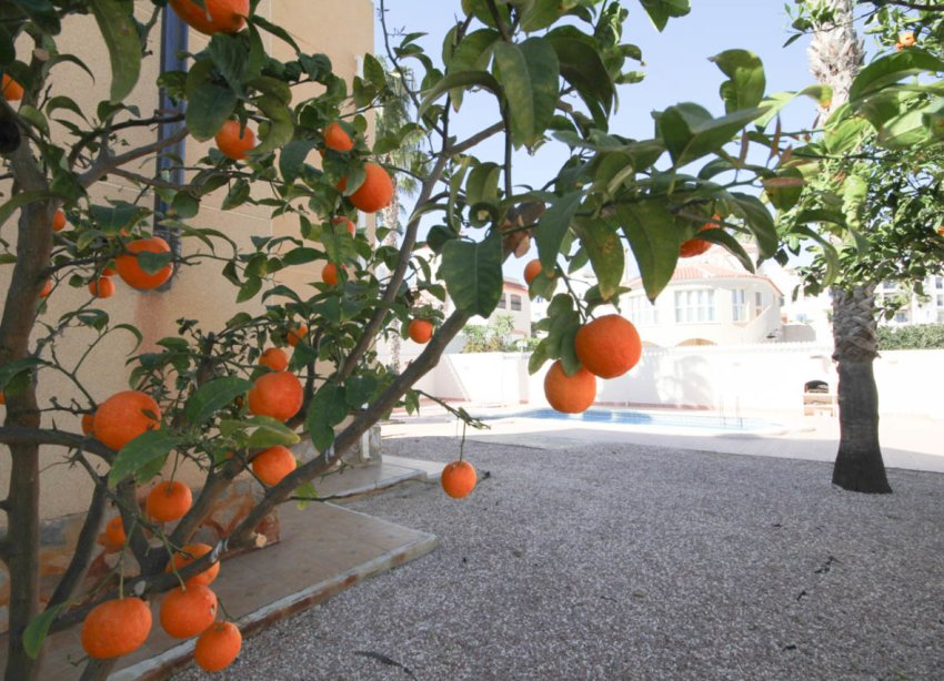 Rynek Wtórny - Willa - Orihuela Costa - La Zenia