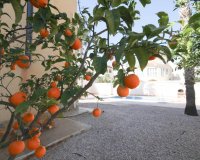 Rynek Wtórny - Willa - Orihuela Costa - La Zenia