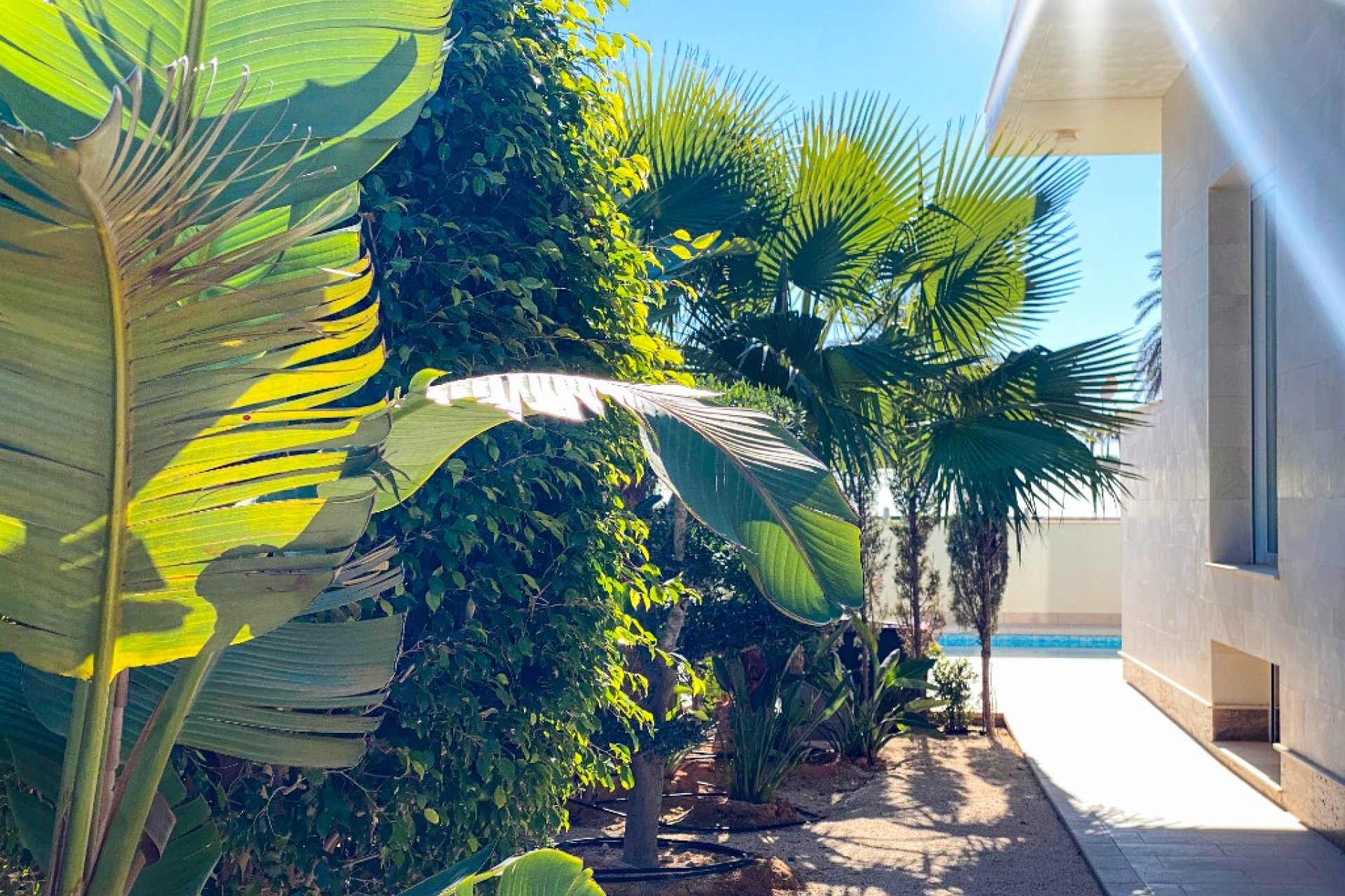 Rynek Wtórny - Willa - Orihuela Costa - La Zenia