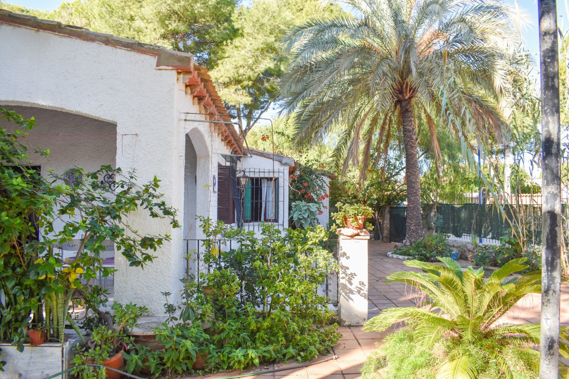 Rynek Wtórny - Willa - Orihuela Costa - Punta Prima