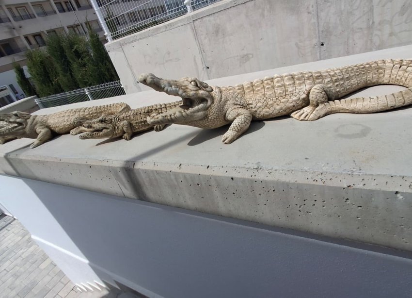 Rynek Wtórny - Willa - Orihuela - Entre Naranjos Vistabella Golf