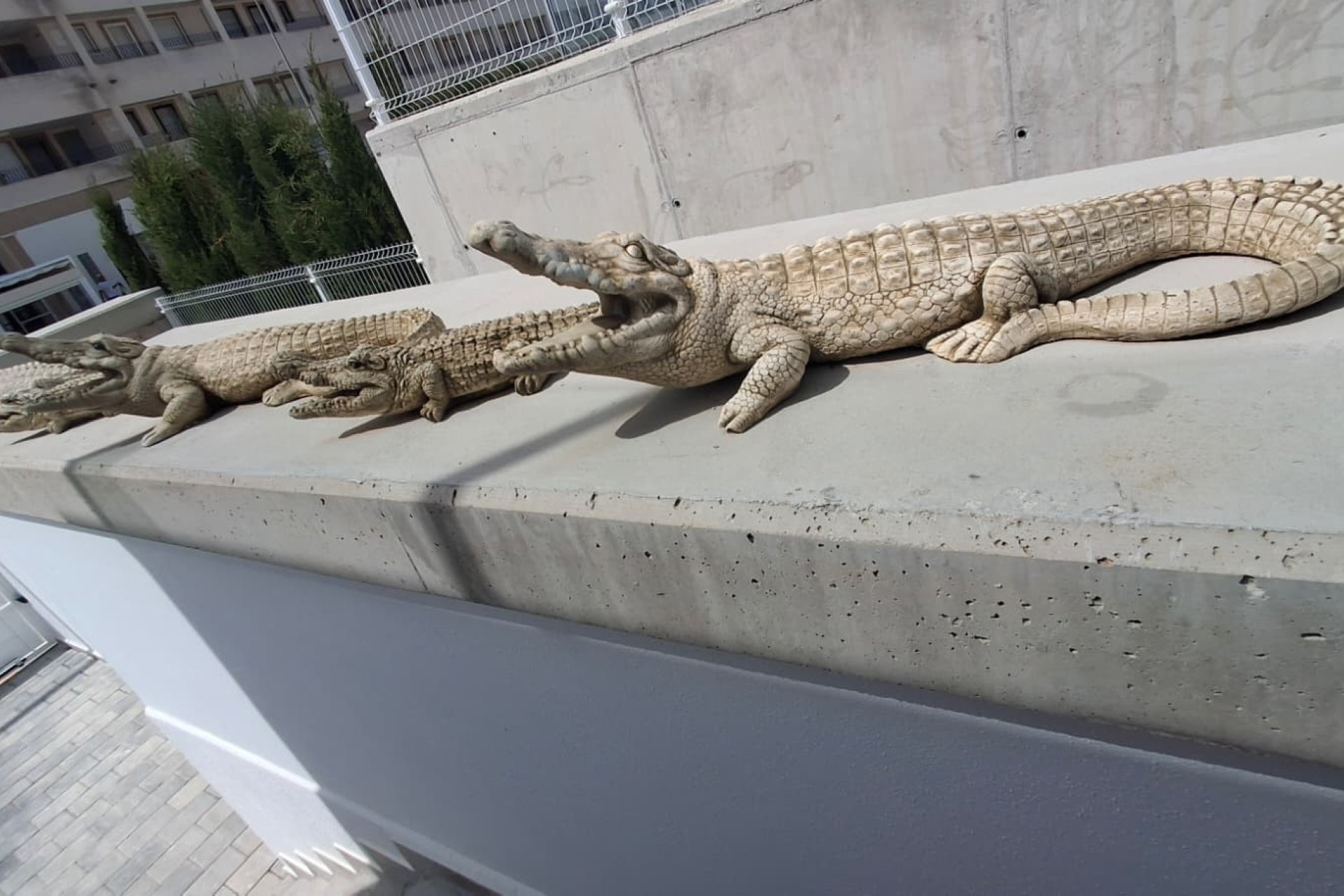 Rynek Wtórny - Willa - Orihuela - Entre Naranjos Vistabella Golf