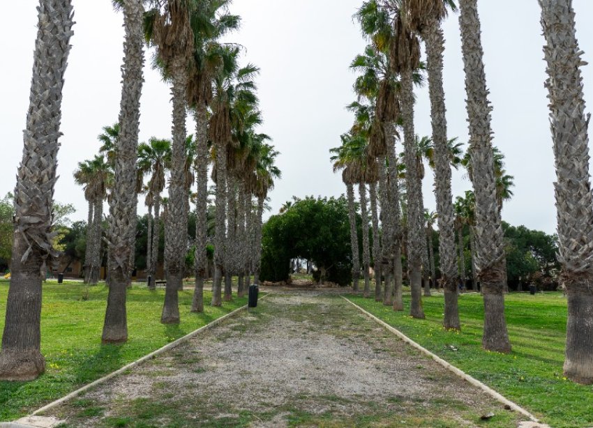 Rynek Wtórny - Willa - Torrevieja - Los Altos