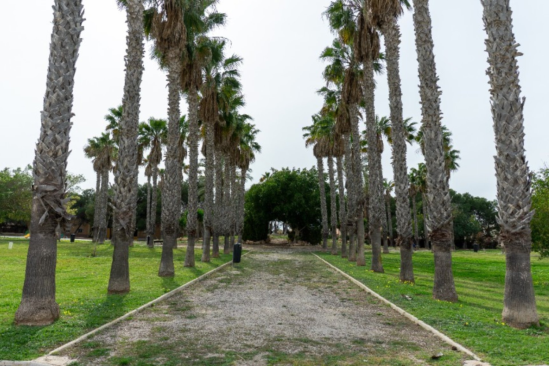 Rynek Wtórny - Willa - Torrevieja - Los Altos