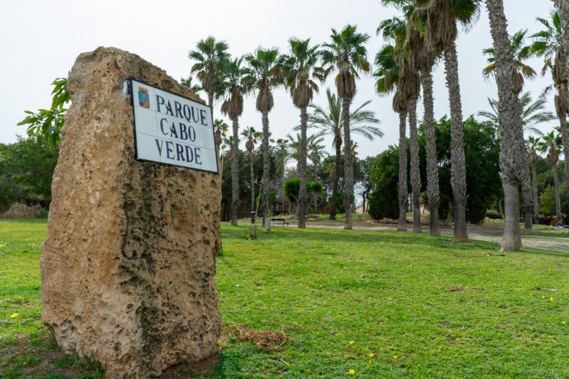 Rynek Wtórny - Willa - Torrevieja - Los Altos