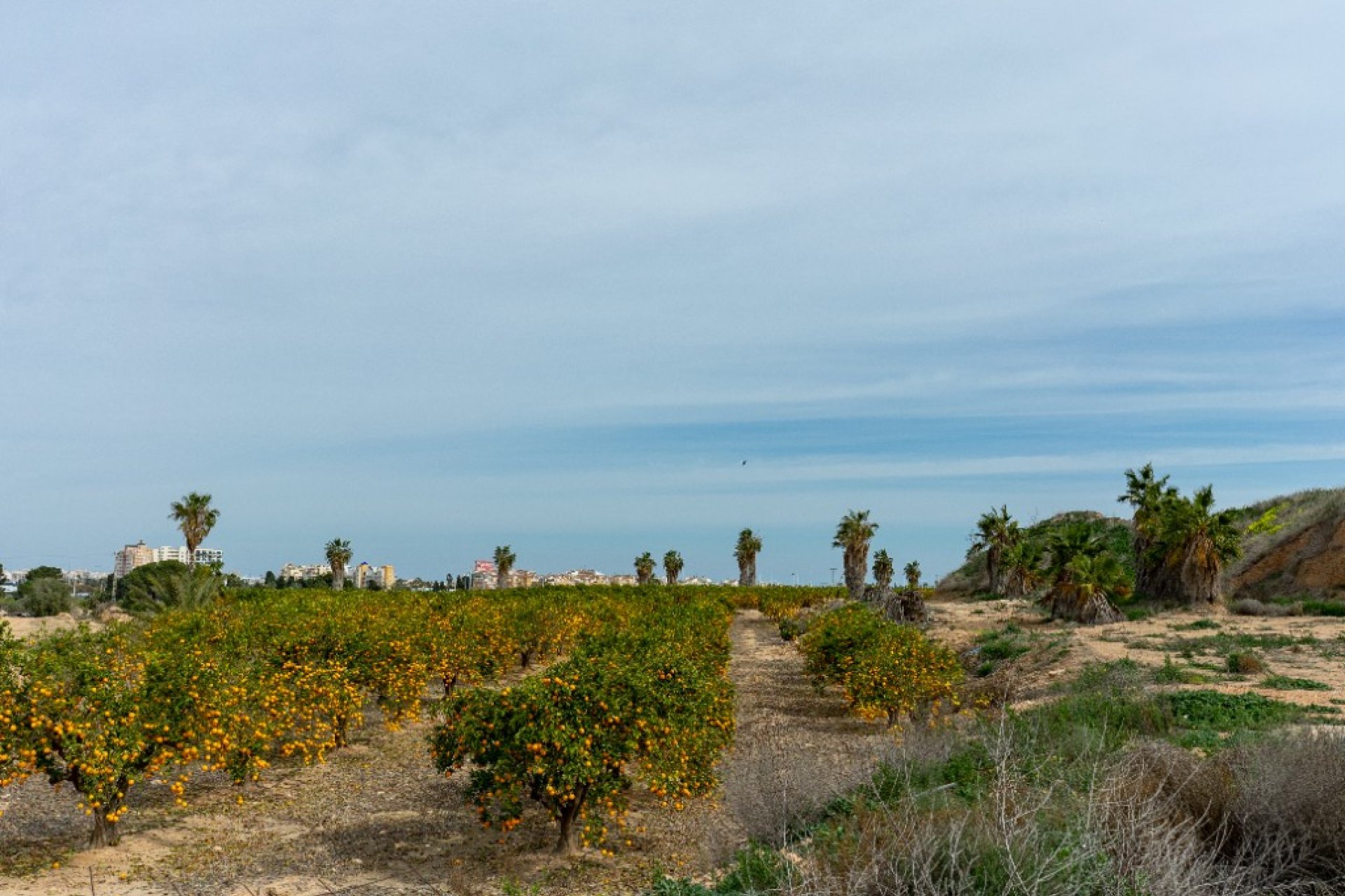 Rynek Wtórny - Willa - Torrevieja - Los Altos