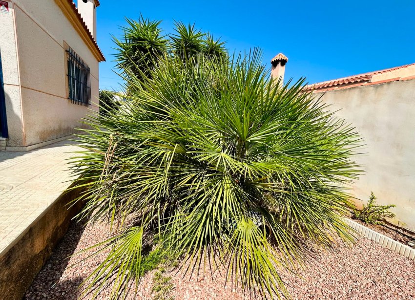 Rynek Wtórny - - WILLA - Torrevieja - Urbanización San Luis