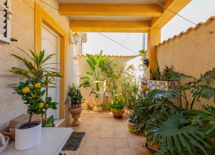 Rynek Wtórny - Willa - Torrevieja - Zona los Frutales