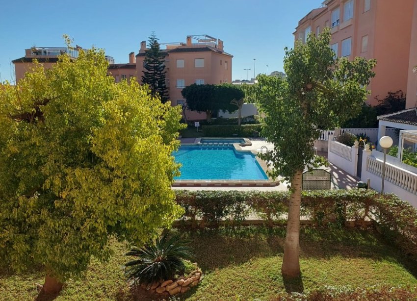 terrace overlooking the pool